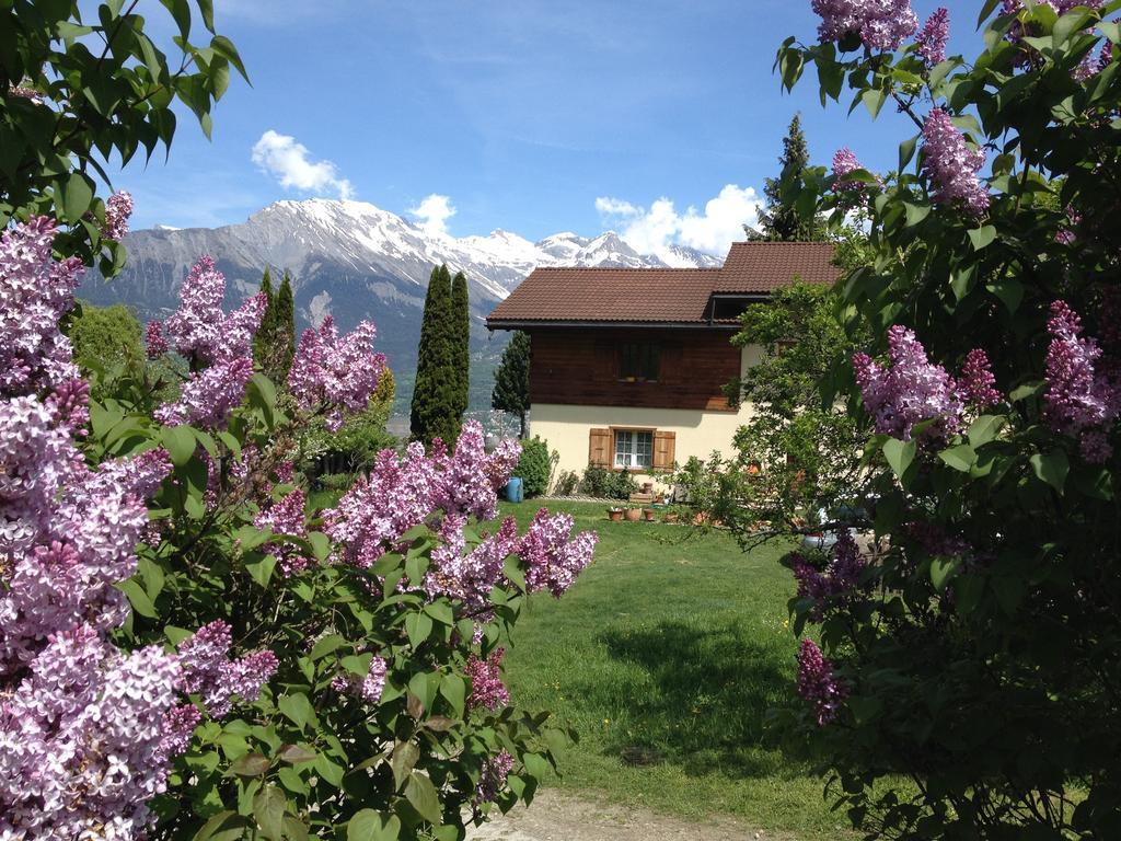 Domaine Bellevie Bnb Vex Habitación foto
